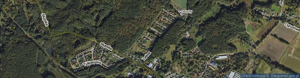 Zdjęcie satelitarne Sosnowa ul.